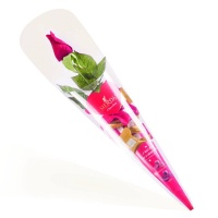  گل رز مرداس635d21f6dcf2034220